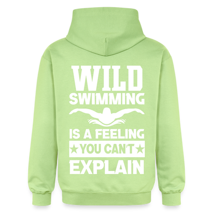 Adult Unisex  Midweight Hoodie - pistachio